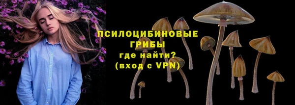 СК Алзамай