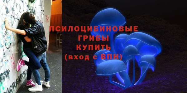 СК Алзамай