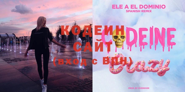 кокс Алексин