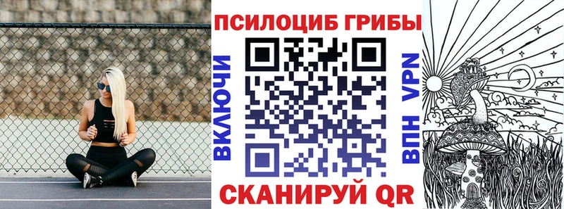 Псилоцибиновые грибы MAGIC MUSHROOMS  купить закладку  Полысаево 