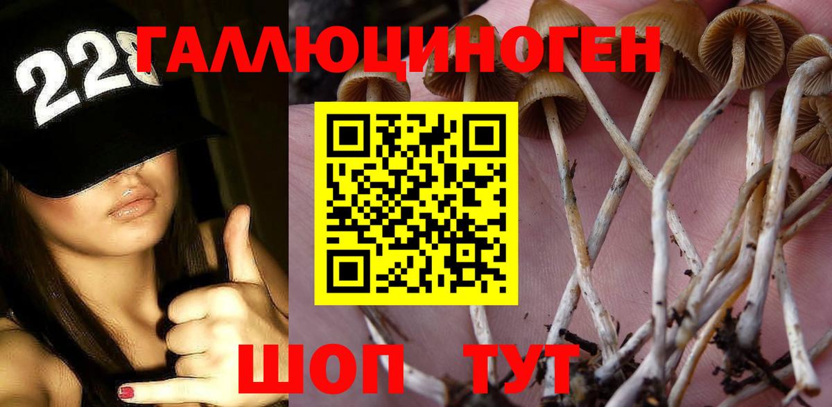 Псилоцибиновые грибы MAGIC MUSHROOMS Полысаево
