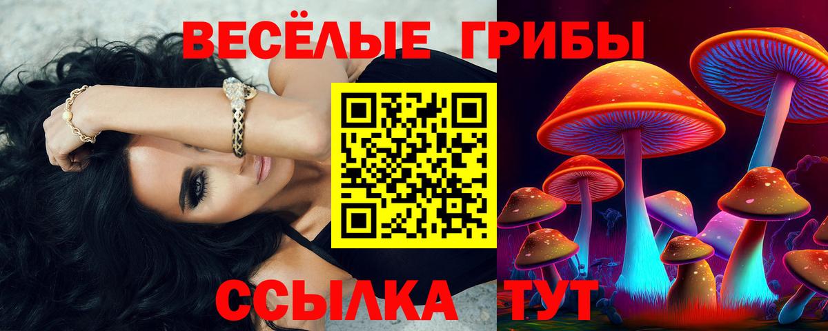 Полысаево  где можно купить   Вход с VPN  Галлюциногенные грибы Psilocybine cubensis 